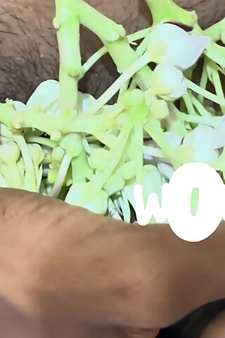 admin added